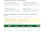 handle accurate financial data entry and excel formatting